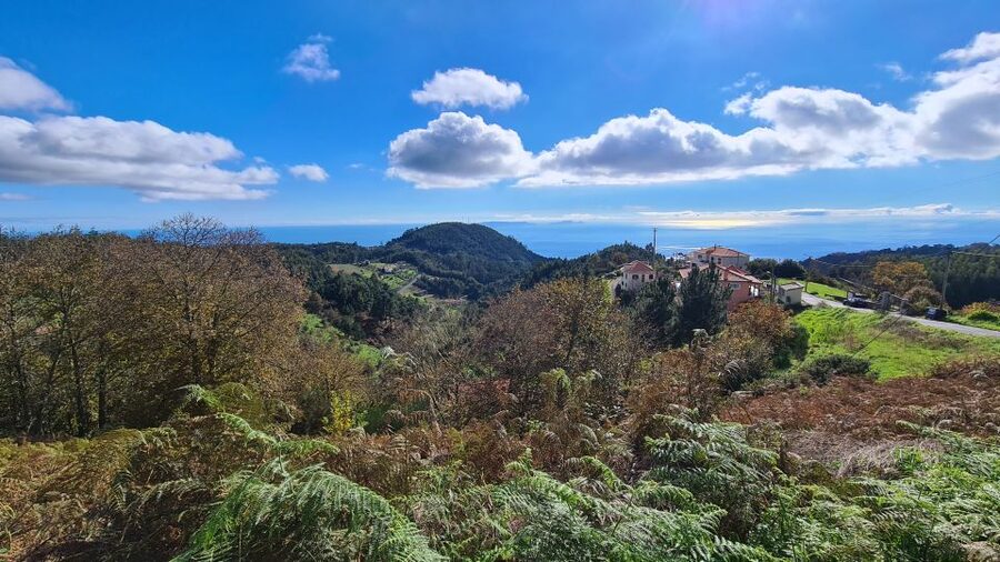 Camacha: Levada Trail e-Bike Guided Tour - Camacha first ride: fields, flowers, and an easy start