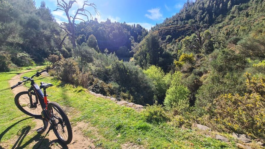 Camacha: Levada Trail e-Bike Guided Tour - Riding back through Camacha: oaks, downhill fun, and levada return