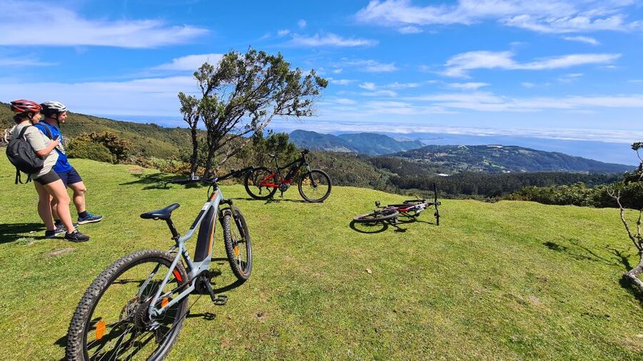 Camacha: Levada Trail e-Bike Guided Tour - Pickup and van timing: convenient access across the island