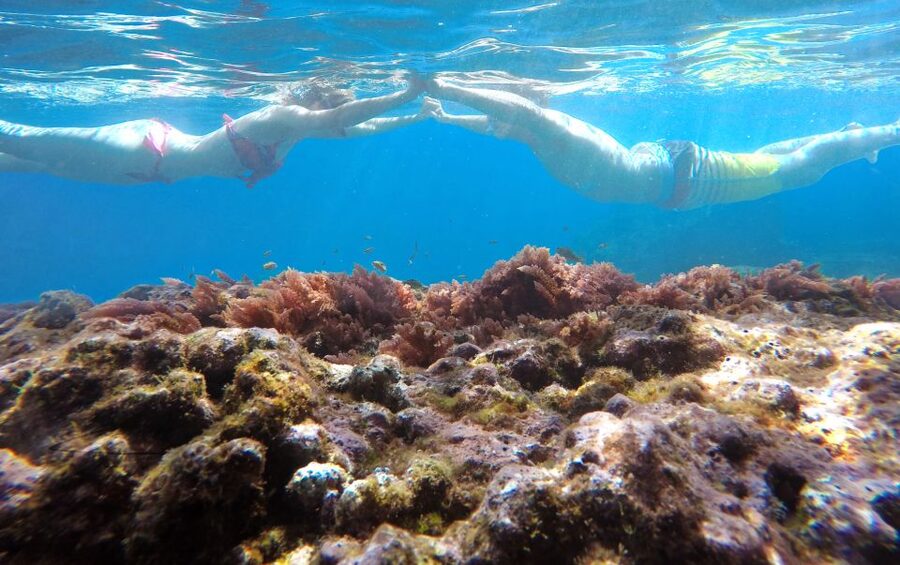 Caniço, Madeira: Marine Reserve Kayak & Snorkelling Tour - Caniço to Garajau: what this 2-hour kayak-snorkel really feels like