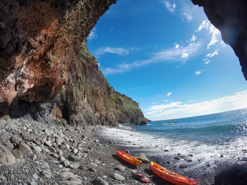 Caniço, Madeira: Marine Reserve Kayak & Snorkelling Tour - Snorkeling at Garajau Marine Reserve: what you can actually see
