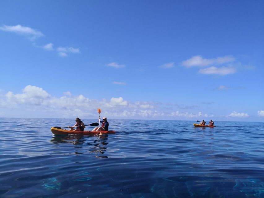 Caniço, Madeira: Marine Reserve Kayak & Snorkelling Tour - Weather and sea conditions: the one variable you should plan around