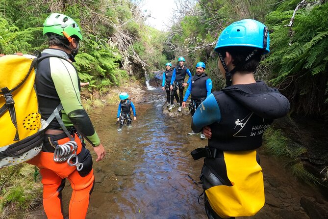 Canyoning in Madeira Island- Level 1 - Parque Ecológico do Funchal: the canyon starts in the right kind of scenery