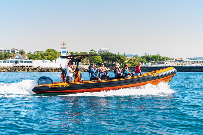Cascais coast: Dolphin watching - Key highlights you should know before you go