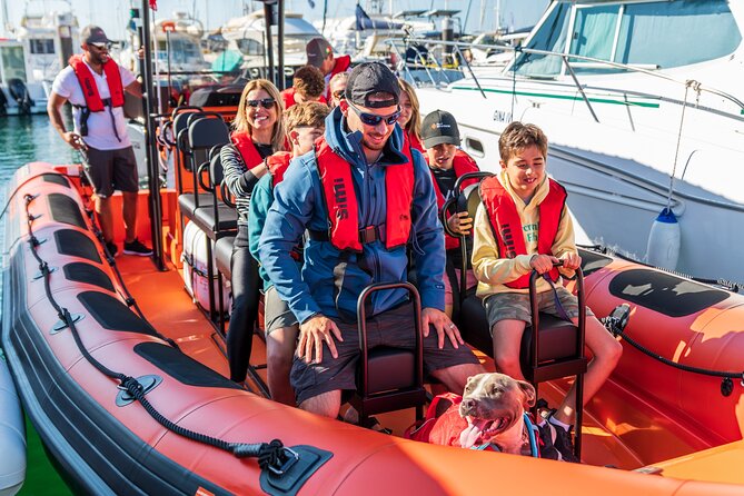 Cascais coast: Dolphin watching - Who this Cascais dolphin tour fits best