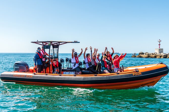 Cascais coast: Dolphin watching - Quick decision guide: should you book?