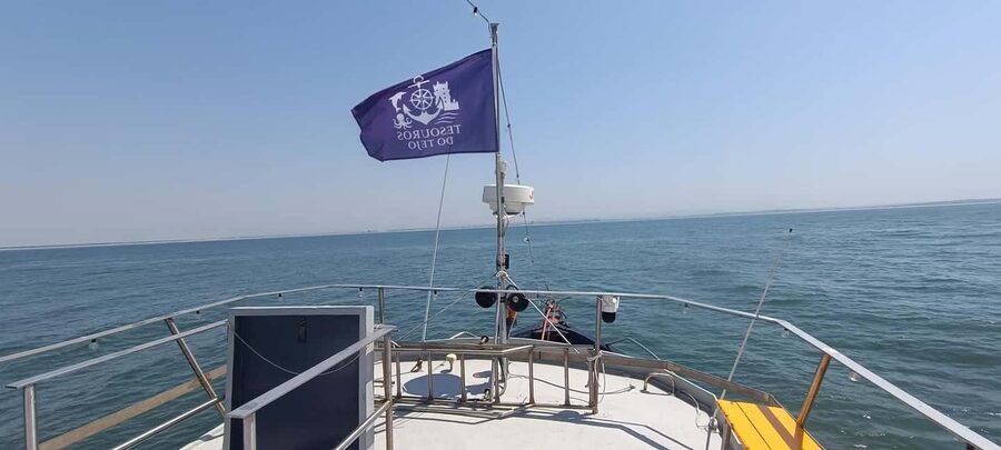 Cascais Coastal Secrets: 90-Minute Cruise with Free Drinks - Price and Drinks: What $44 Buys You on the Atlantic