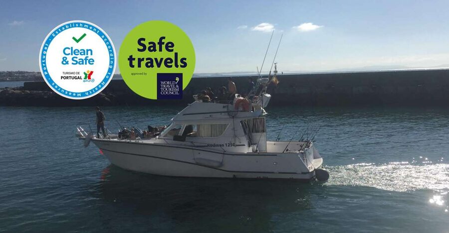 Cascais Deep-Sea Fishing Trip - The Fishing Game Plan: Species, Coaching, and Realistic Expectations