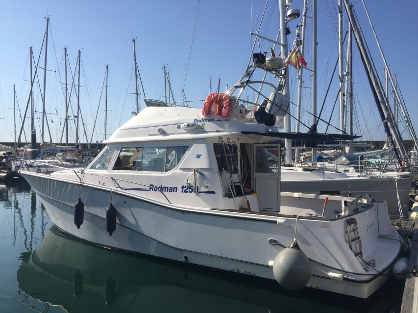 Cascais Deep-Sea Fishing Trip - Weather Rules and Motion Sickness: The Part You Must Plan For