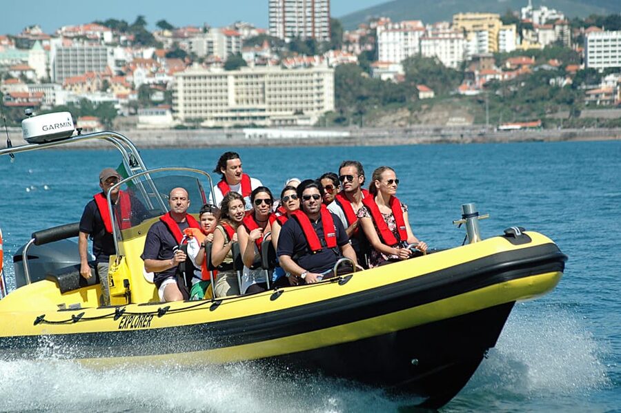 Cascais: Dolphin Watching Speedboat Tour - Should you book the Dolphin Explorers speedboat in Cascais?