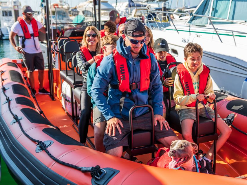 Cascais: Dolphin Watching Tour - Why Cascais makes sense for dolphin watching