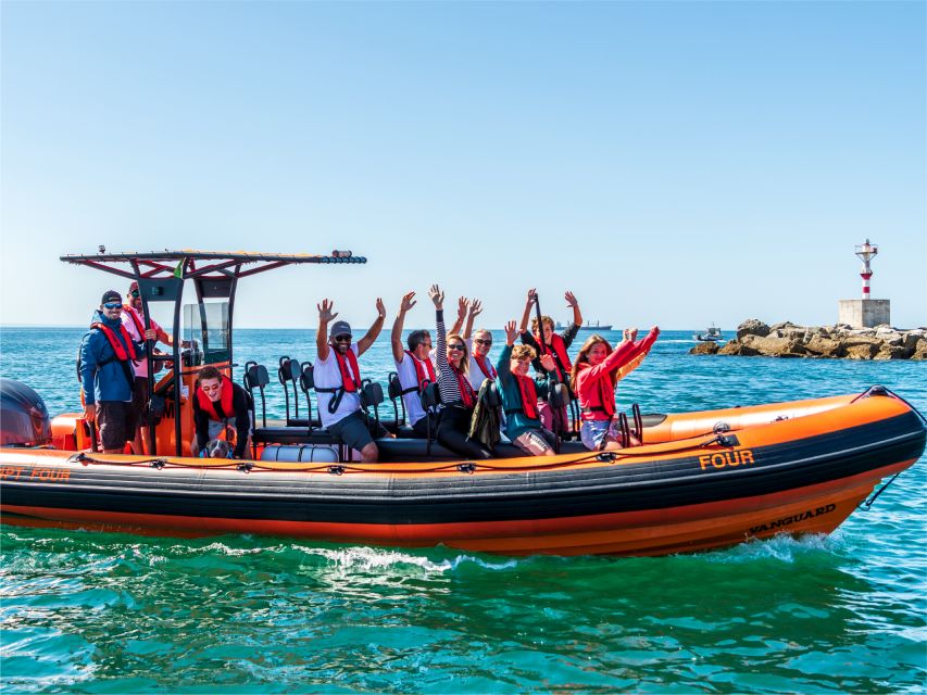 Cascais: Dolphin Watching Tour - Scenic Cascais to Estoril Coast, even between sightings