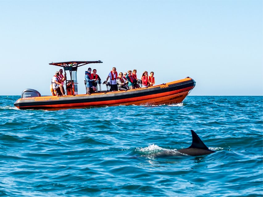 Cascais: Dolphin Watching Tour - Price and value: is $76 per person fair?