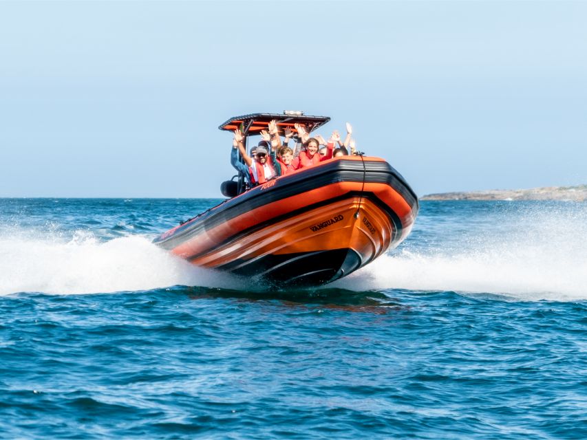 Cascais: Dolphin Watching Tour - Getting there: meeting at 4adventures Boat Tours, Loja 131