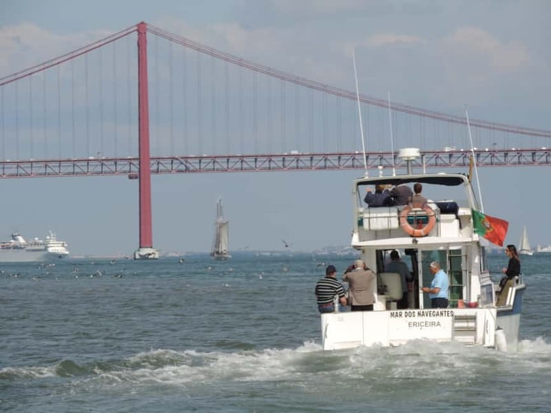 Cascais: Half-Day Fishing Trip - Value check: what $93 buys you for three hours on the water