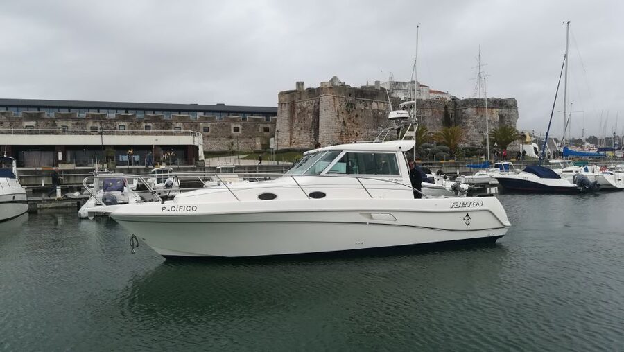 Cascais: Half-Day Fishing Trip - Who should book this half-day fishing trip from Cascais