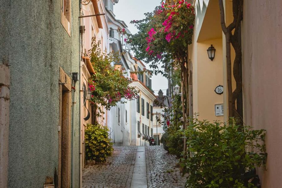 Cascais: Private & Flexible Walking Tour in Historic Center - Museum Quarter and Paula Rego’s Casa das Histórias