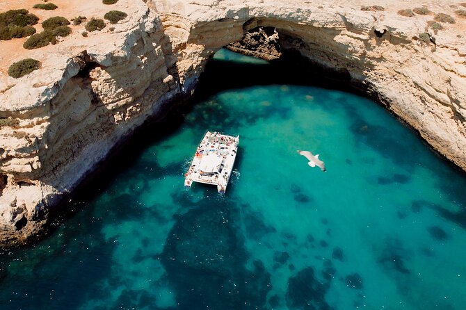 Catamaran Cruise: Caves and Coastline to Benagil - Cruising the Algarve Coastline to Benagil Caves