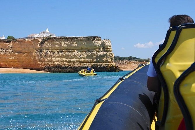 Caves and Dolphin Watching Cruise from Albufeira - Key highlights that make this cruise worth your time