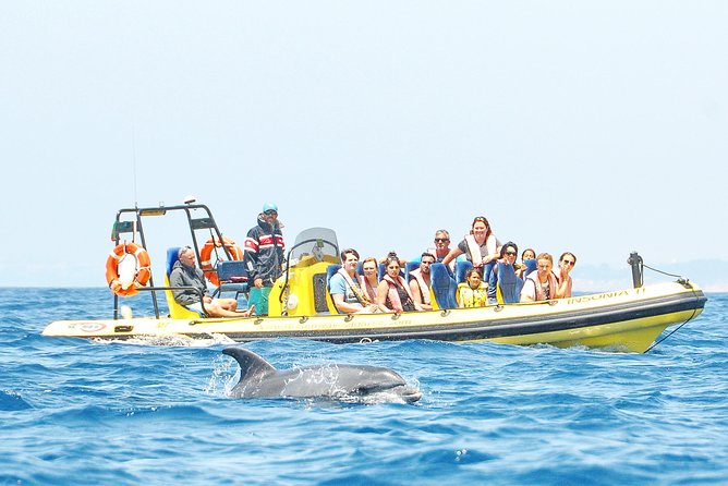 Caves and Dolphin Watching Cruise from Albufeira - A 2-hour Algarve cruise that hits the big targets first