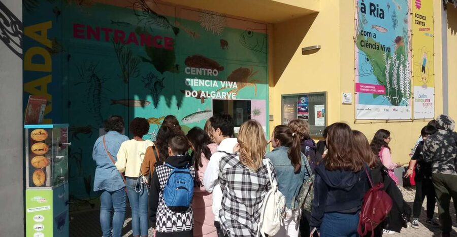 CCVAlgarve Individual Ticket - Price and ticket value: what $5 buys you