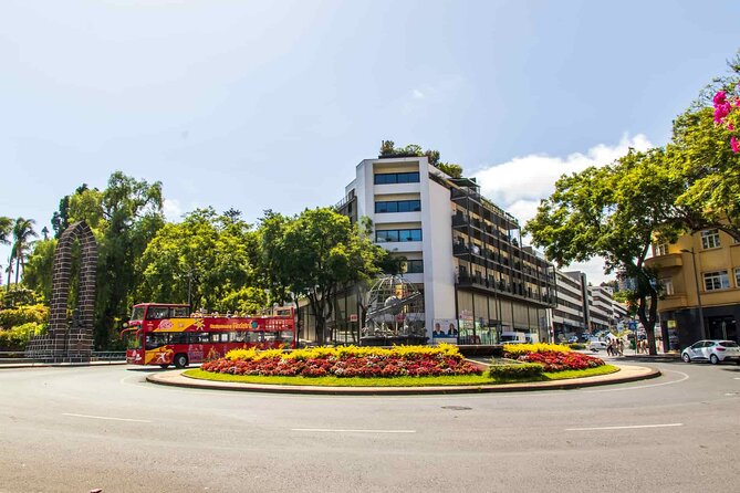 City Sightseeing Funchal Hop-On Hop-Off Bus Tour - Who should book this Funchal hop-on hop-off bus tour