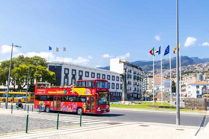 City Sightseeing Funchal Hop-On Hop-Off Bus Tour - The best way to use the hop-on hop-off system (without wasting time)