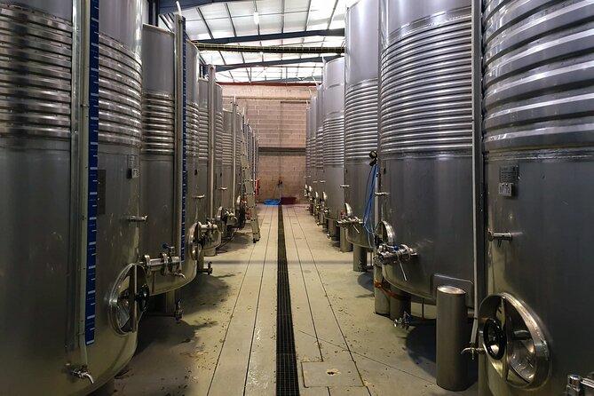 Classic Tasting | Quinta de Santa Cristina Vinho Verde - The viewpoint and the tasting room experience