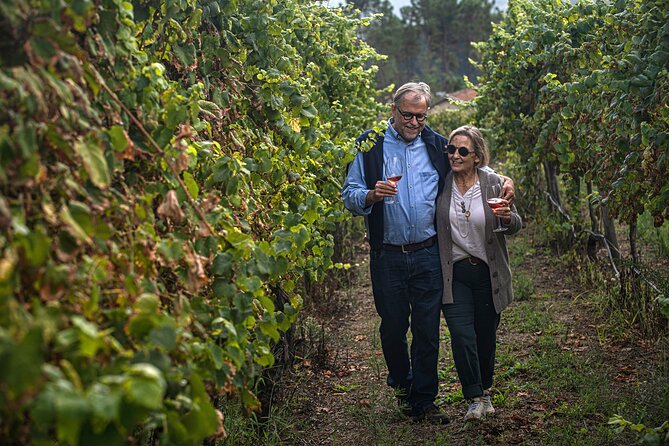 Classic Tasting | Quinta de Santa Cristina Vinho Verde - The Classic Tasting: 3 Quinta de Santa Cristina wines and regional bites