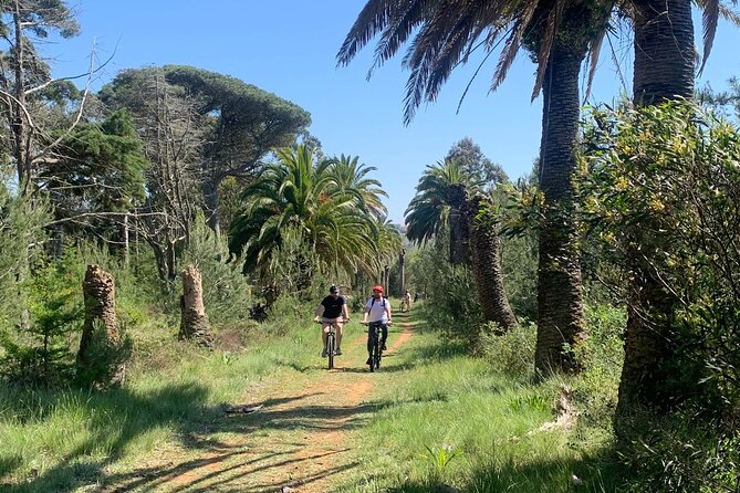 Cliff Top Ride - Pacing for mixed cycling levels: why this tour works for different people