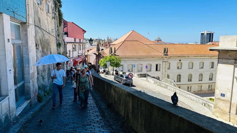 Coimbra & Aveiro Experience: From Porto All-Included - Aveiro city center and channels walk: the water-town shift