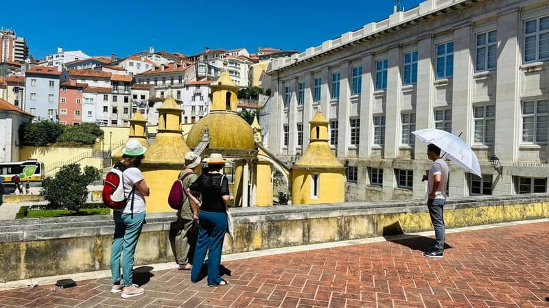 Coimbra & Aveiro Experience: From Porto All-Included - A Coimbra and Aveiro day trip that mixes royals, scholars, and water towns