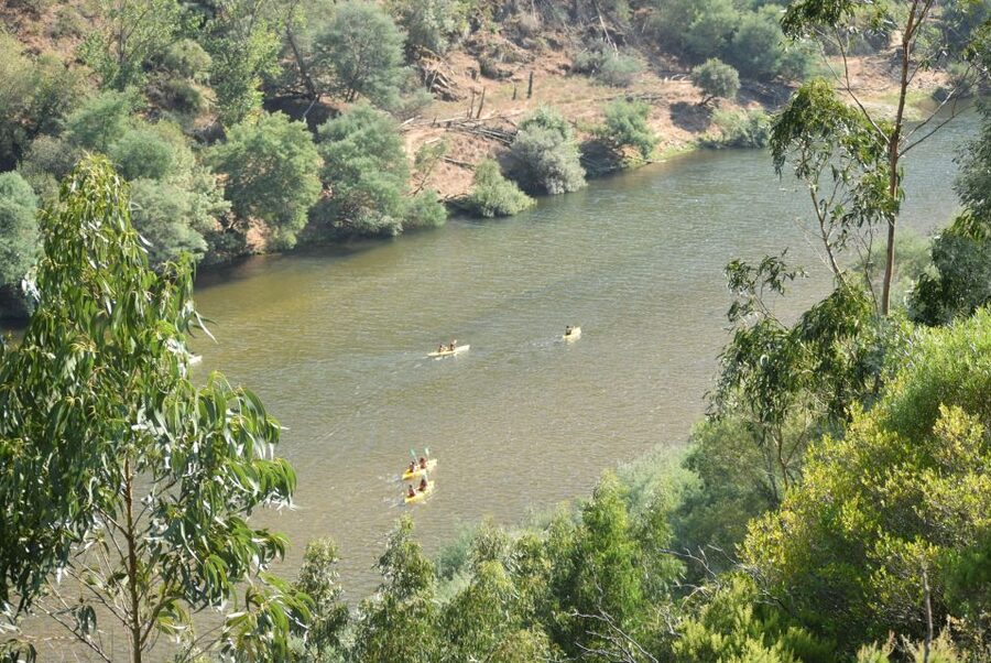 Coimbra: Mondego River Kayaking Tour - Price and value: Is $35 a smart spend?