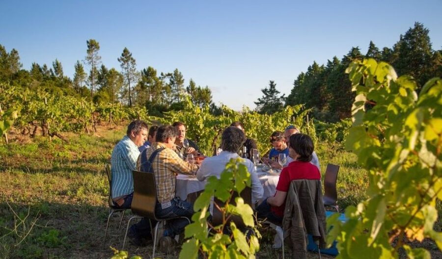 Coimbra: Prior Lucas Wine Experience - Who Should Book This Wine Visit Near Coimbra?