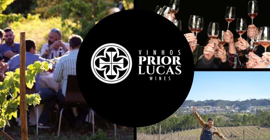 Coimbra: Prior Lucas Wine Experience - Why Prior Lucas Works So Well for a Coimbra Area Wine Stop