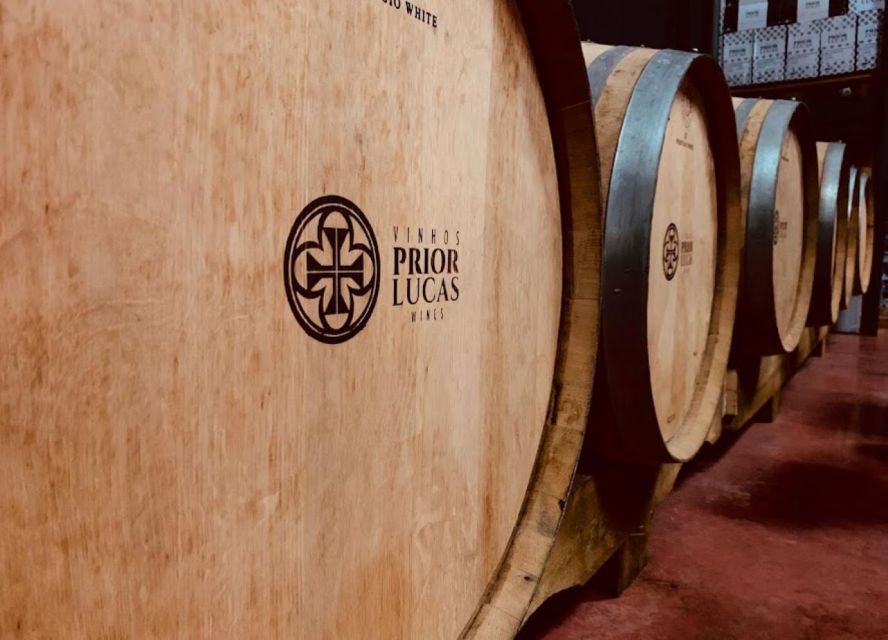 Coimbra: Prior Lucas Wine Experience - Inside the Cellar: From Grapes to Sparkling, Red, and White