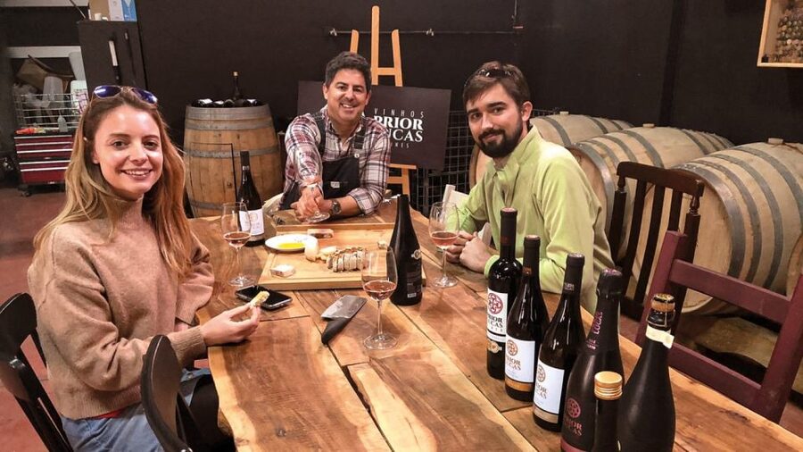 Coimbra: Prior Lucas Wine Experience - Price and Value: What You Pay for in a 1 to 3 Hour Visit