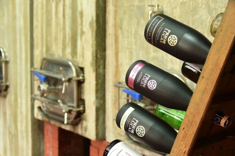 Coimbra: Prior Lucas Wine Experience - Finding Prior Lucas Winery in Souselas (and Avoiding the Usual Headache)