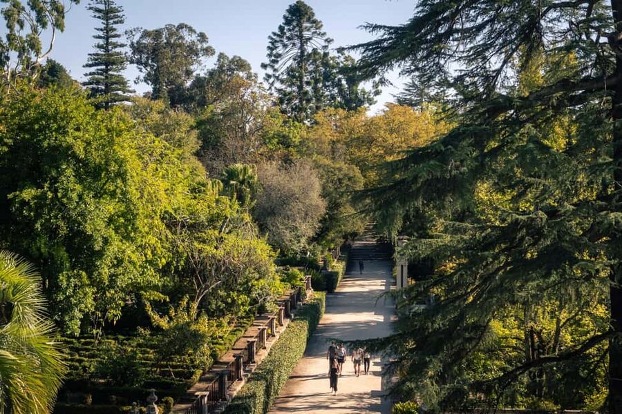 Coimbra: Private & Flexible Walking Tour in Historic Center - Machado de Castro Museum: Portugal’s fine arts stop you should not skip