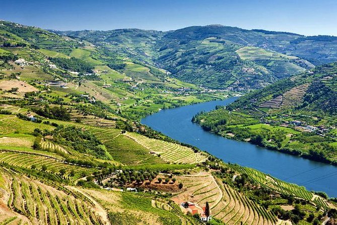 Complete Douro Valley Wine Tour with Lunch, Wine Tastings and River Cruise - The 50-minute Rebelo cruise on the Douro River