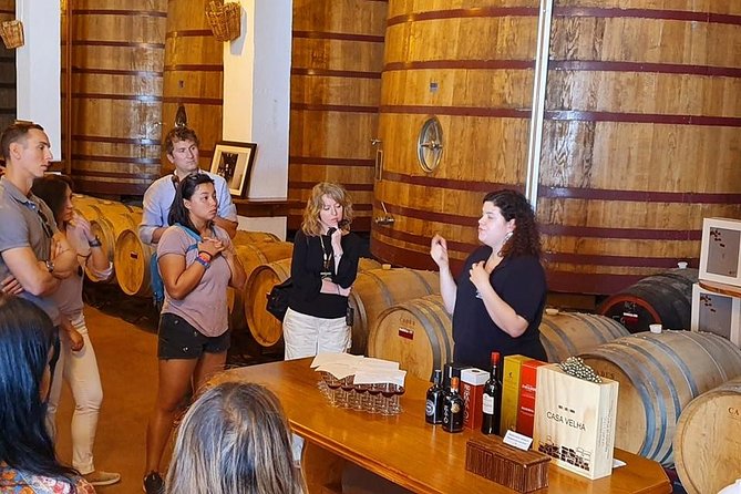 Complete Douro Valley Wine Tour with Lunch, Wine Tastings and River Cruise - Wine tastings and port: how to pace your day