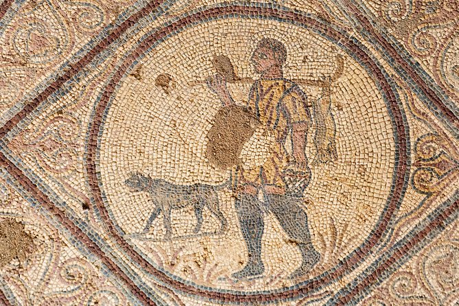 Conímbriga Roman Ruins & Museum | Private Tour - Roman Ruins Near Coimbra: What to Look For