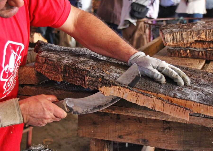 Cork Factory Tour - Cork Factory Tour in the Algarve: What This 50 Minutes Really Gives You