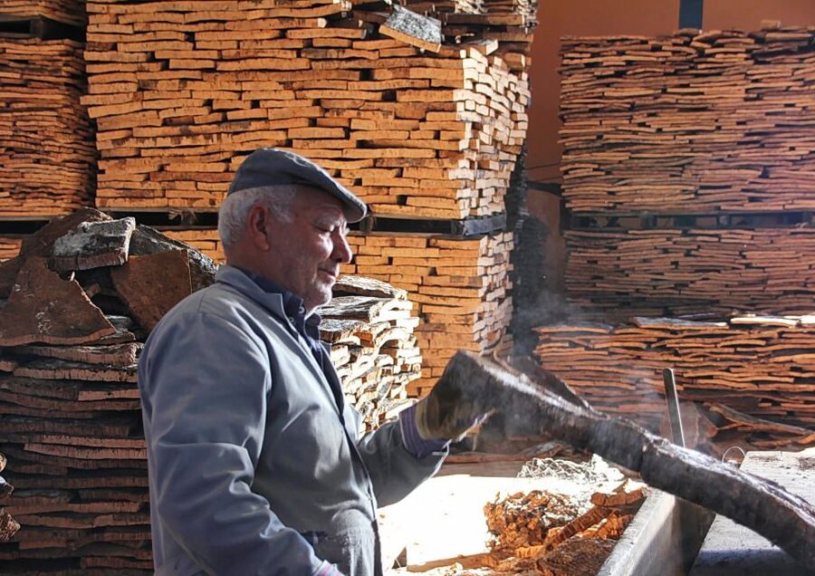 Cork Factory Tour - Getting to Eco-Cork Factory: The Algarve Logistics That Matter