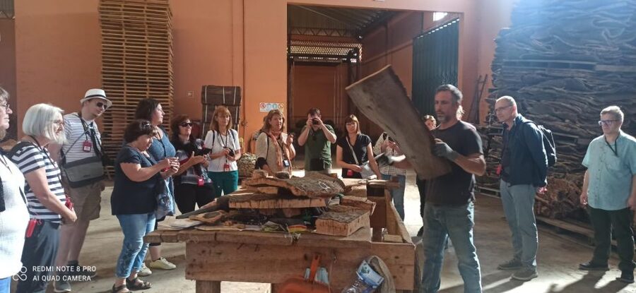 Cork Factory Tour - The Intro Video and Audio Guide Combo: How They Keep You on Track