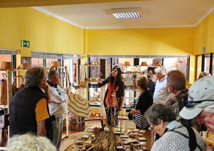 Cork Factory Tour - Price and Value: Is $20 Worth It?
