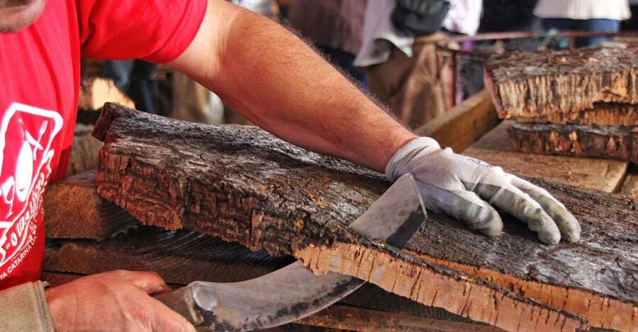 Cork Factory Tour - Entering the Factory: From Cork Harvesting to Processing