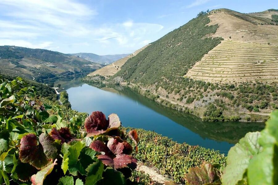 Day Cruise from Porto to Pinhão with Breakfast and Lunch - Régua and Alijó views: seeing the wine towns from the river