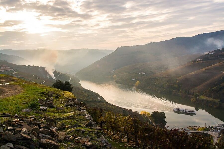 Day Cruise from Porto to Pinhão with Breakfast and Lunch - Price and value: why $123 can feel fair, and when it might not