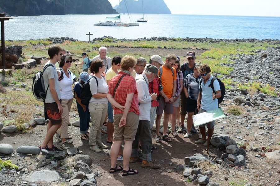 Desertas Islands Full-Day Catamaran Trip from Funchal - Wildlife moments on the route: why the boat ride can steal the show